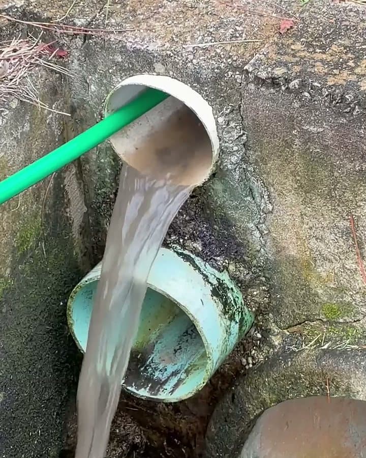 Water pouring full bore from a buried downspout drain outlet into the catch basin while the line is flushed
