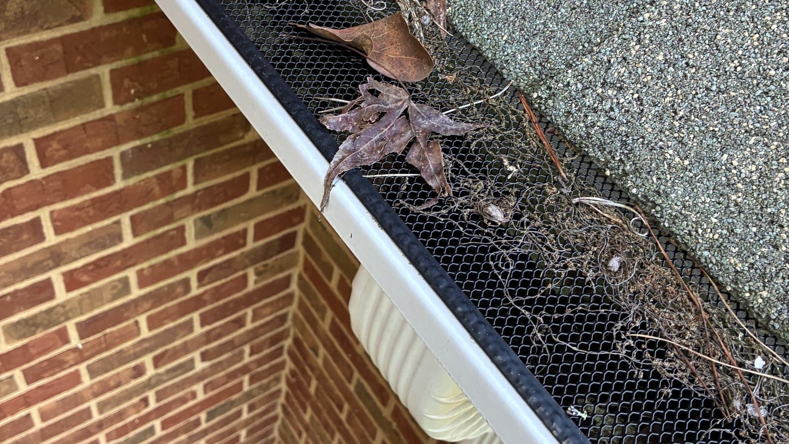 Gutter run silted level with its leaf guard, the mesh buried under packed debris